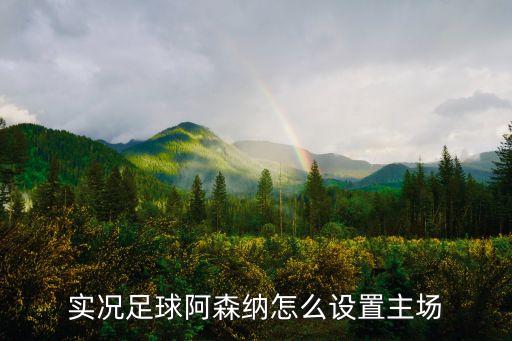 酋長球場,阿聯酋酋長球場由阿斯利康復建而得名