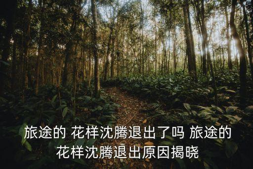  旅途的 花樣沈騰退出了嗎 旅途的 花樣沈騰退出原因揭曉