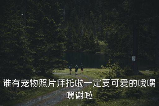 誰有寵物照片拜托啦一定要可愛的哦嘿嘿謝啦