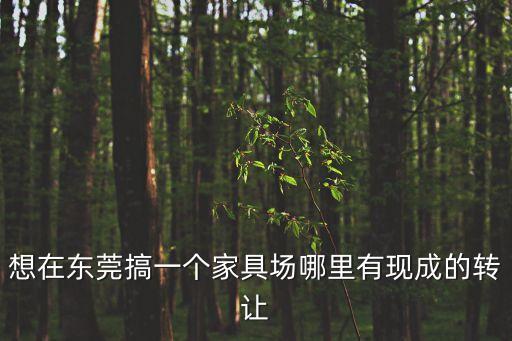 想在東莞搞一個家具場哪里有現成的轉讓