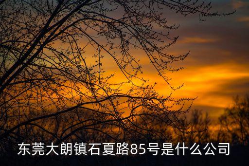 東莞大朗鎮石夏路85號是什么公司