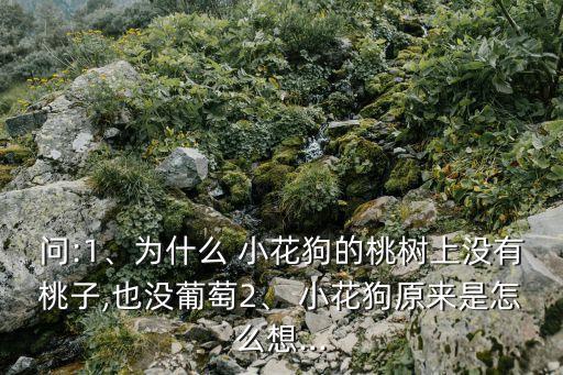 問:1、為什么 小花狗的桃樹上沒有桃子,也沒葡萄2、 小花狗原來是怎么想...