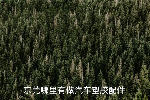 東莞哪里有做汽車塑膠配件