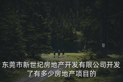 東莞新世紀上架樓盤，東莞新世紀