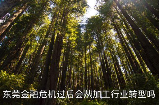 新經濟局東莞，東莞金融危機過后會從加工行業轉型嗎