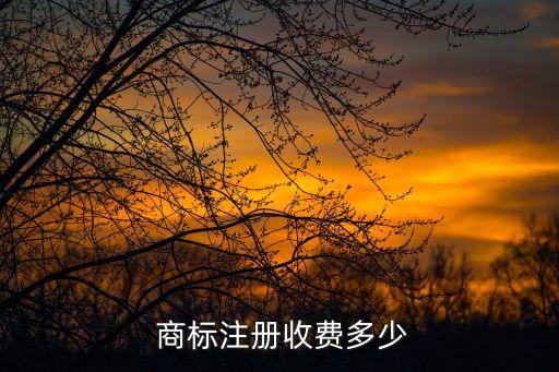 商標注冊費,300元商標掛號費300元