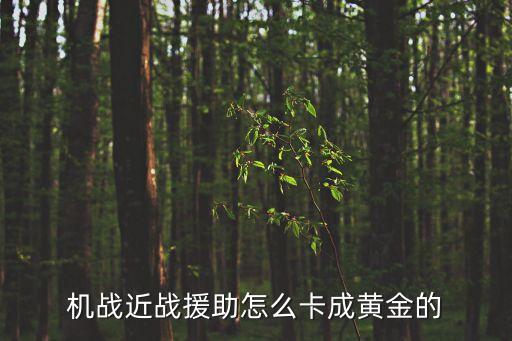 機戰近戰援助怎么卡成黃金的
