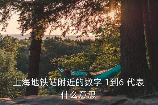 上海地鐵站附近的數字 1到6 代表什么意思