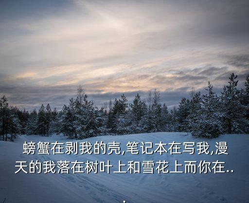 螃蟹在剝我的殼,螃蟹剝開我的殼筆記本寫我的故事