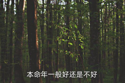 本命年一般好還是不好
