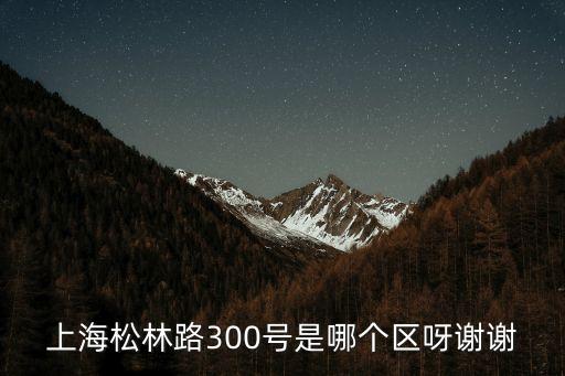 上海市木林路303號，徐匯區上中路303號是什么公司啊
