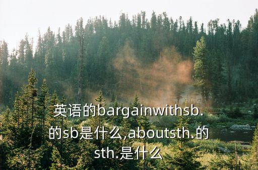 英語的bargainwithsb.的sb是什么,aboutsth.的sth.是什么