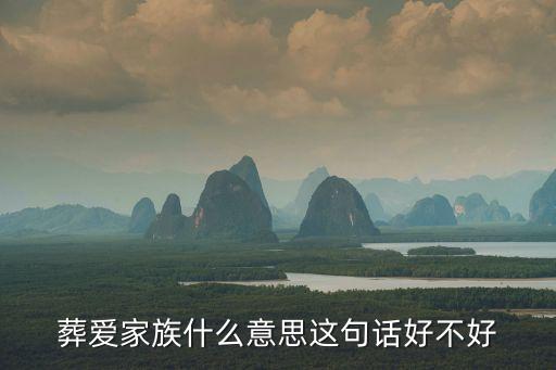 葬愛家族什么意思這句話好不好