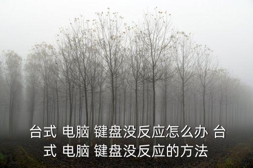  臺式 電腦 鍵盤沒反應怎么辦 臺式 電腦 鍵盤沒反應的方法