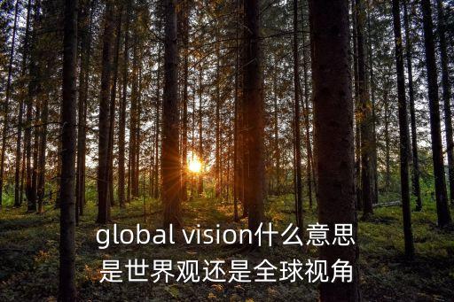 全球視角，全球視野的英語是global view嗎