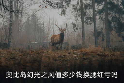 奧比島幻光之風(fēng)值多少錢換腮紅虧嗎