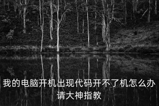 我的電腦開機(jī)出現(xiàn)代碼開不了機(jī)怎么辦請大神指教