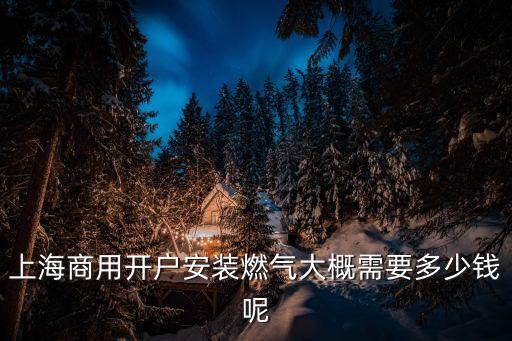 上海市單位煤氣開戶，浦東新區宣橋鎮煤氣開戶去哪開戶