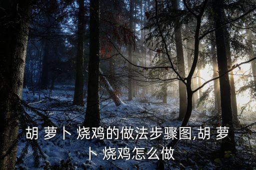 蘿卜燒雞,武漢火鍋雞怎么燒?