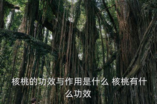 核桃的功效,吃核桃有利于保護(hù)大腦和降低膽固醇