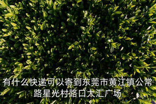 有什么快遞可以寄到東莞市黃江鎮(zhèn)公常路星光村路口大匯廣場
