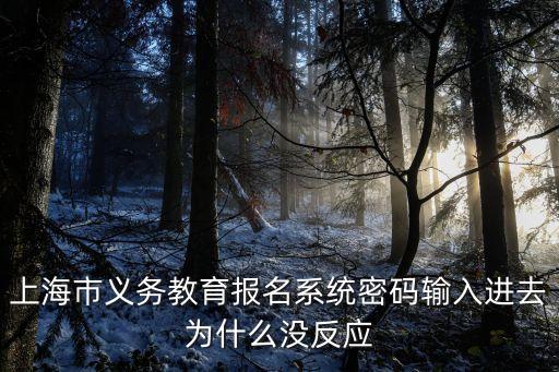 上海市義務(wù)教育報名系統(tǒng)官網(wǎng)，上海市義務(wù)教育報名系統(tǒng)密碼輸入進去為什么沒反應(yīng)