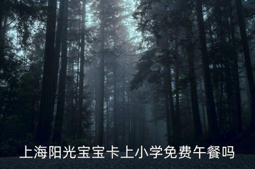 上海陽光寶寶卡上小學(xué)免費午餐嗎