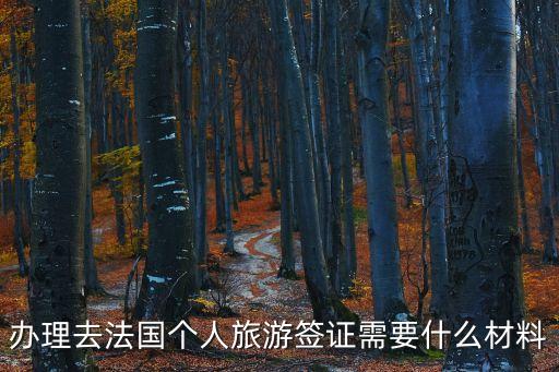 辦理去法國個人旅游簽證需要什么材料