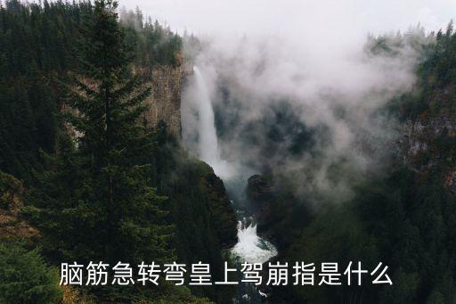 皇上駕崩，腦筋急轉彎皇上駕崩指是什么
