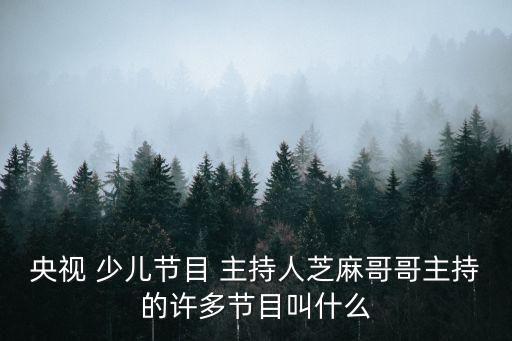 央視 少兒節(jié)目 主持人芝麻哥哥主持的許多節(jié)目叫什么