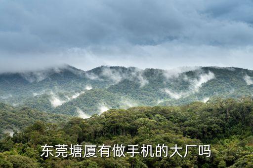 東莞塘廈有做手機(jī)的大廠嗎