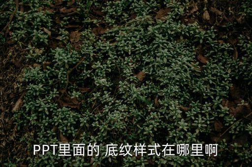 PPT里面的 底紋樣式在哪里啊