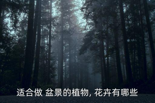 適合做 盆景的植物, 花卉有哪些