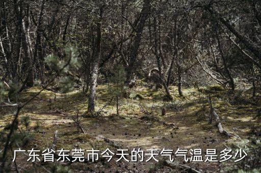 東莞市昌平區天氣預報，廣東省東莞市天氣預報