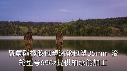 聚氨酯橡膠包塑滾輪包塑35mm 滾輪型號(hào)696z提供軸承能加工