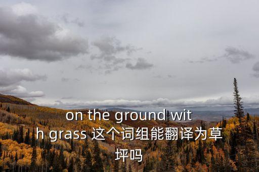 on the ground with grass 這個詞組能翻譯為草坪嗎