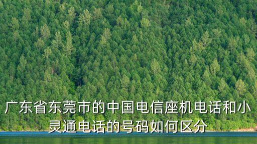 東莞電信固話開頭是多少，東莞電信的電話是多少阿