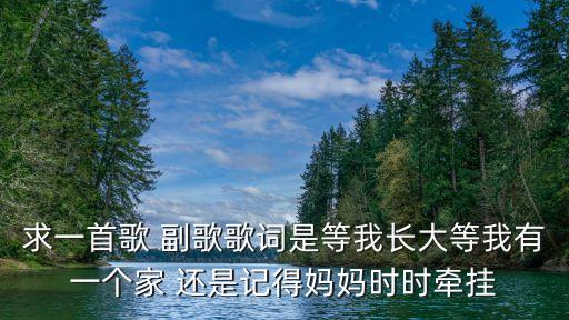 求一首歌 副歌歌詞是等我長大等我有一個家 還是記得媽媽時時牽掛
