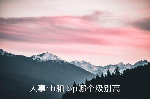 公司bp,中國公司財務bp的崗位職責大部分處于探索階段
