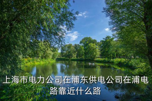 上海市電力公司在浦東供電公司在浦電路靠近什么路