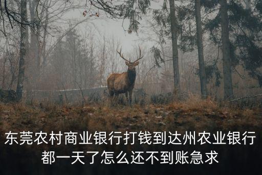 東莞農(nóng)村商業(yè)銀行打錢到達(dá)州農(nóng)業(yè)銀行都一天了怎么還不到賬急求
