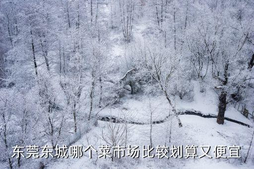 東莞菜價走勢最新，東莞東城哪個菜市場比較劃算又便宜