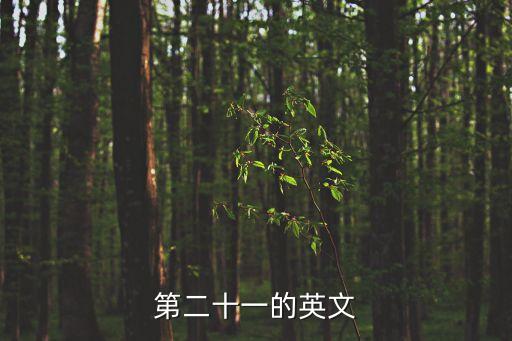 二十一的英文，2月21日的英文