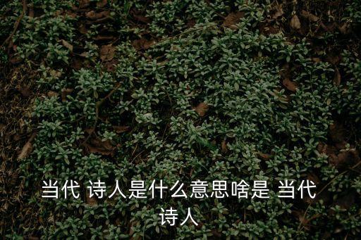  當代 詩人是什么意思啥是 當代 詩人