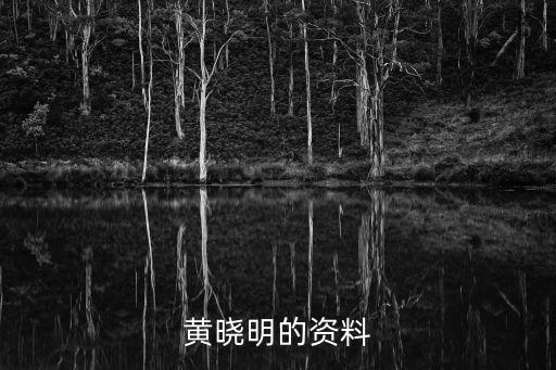 黃曉明的資料