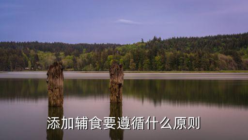 添加輔食要遵循什么原則