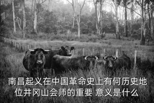 南昌起義的歷史意義,中國紅軍南昌起義的意義是什么?