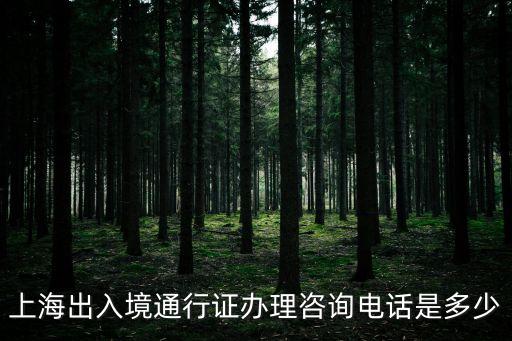 上海市民辦理出入境，上海出入境辦理地點