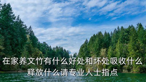 文竹的作用，養文竹有什么好處啊