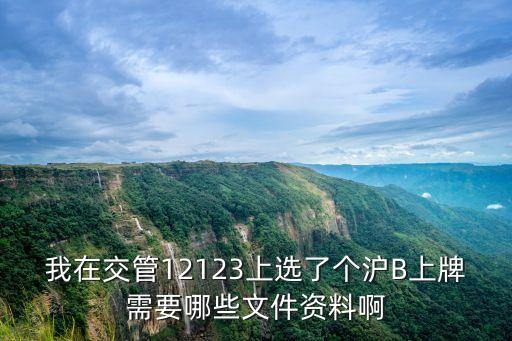 我在交管12123上選了個滬B上牌需要哪些文件資料啊